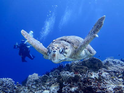 Blue Mystic Divers