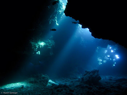 Extended Horizons Maui Scuba Dive Shop