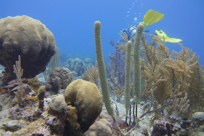 Seafari Turkoise - Dive Center