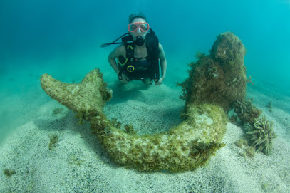 MARAGOGI DIVE SUB