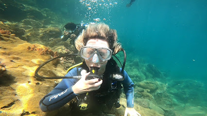 Dive Eco Mergulho