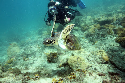Diving point Cardeira