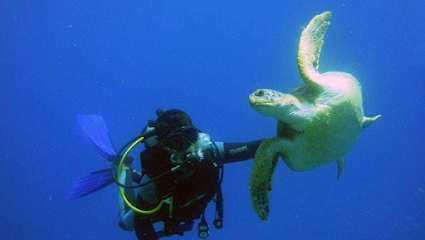 Mergulho Snorkel João fernandez