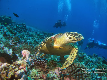 Captain Dive - Mergulho