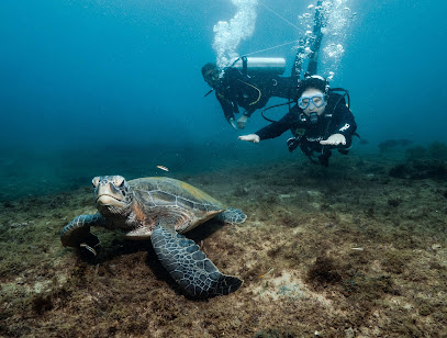 Maravista Mergulho e Experiência - Noronha