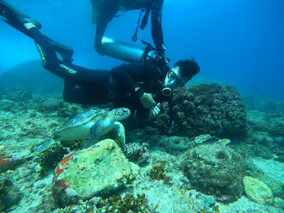 Master Dive - Centro de Mergulho