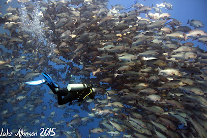 Emperor Divers Sharm El Sheikh