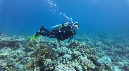Aqua Fun Diving