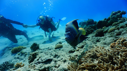 Optimist Divers Club