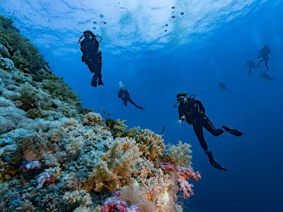 Egypt Explorer Diving Center Marsa Alam