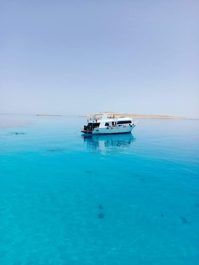 Diving Hurghada Seagate | Scuba Diving in Hurghada - PADI Dive Courses