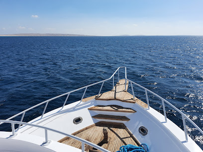 Freedive Egypt