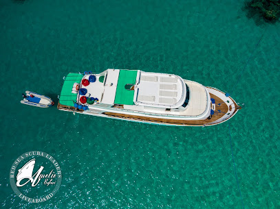 Amelie Safari Liveaboard I Scuba Diving Egypt Hurghada I Diving School Hurghada I Diving School Egypt