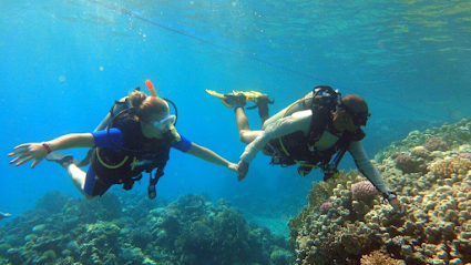 Mr.Diver Sharm