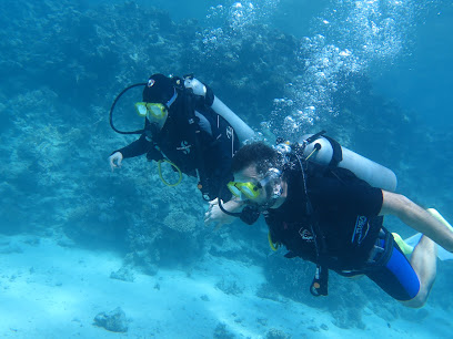 Octopus Diving Center