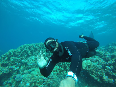 Freedive N Egypt