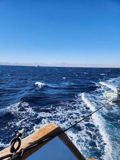 Blue paradise marine