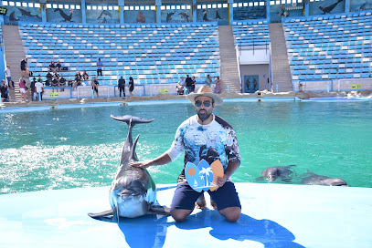 Hurghada Excursions Lovers - Egypt Tours Packages Luxor Day Trip, Cairo Pyramids, Private Yacht Speed Boat | Quad Atv Safari