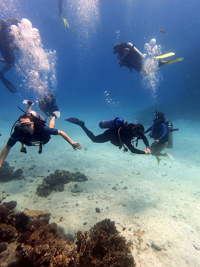Diving Around Hurghada Center