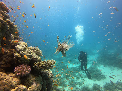Diamond Red Sea - Diving in Hurghada