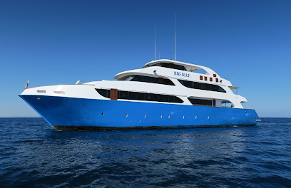 Big Blue Diving Club