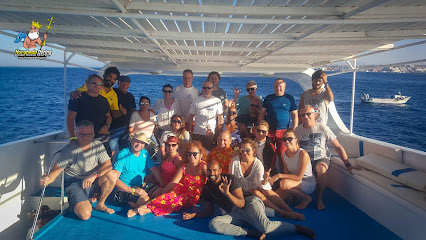 Hurghada Diving | Scuba Diving Center in Hurghada, PADI Courses 
