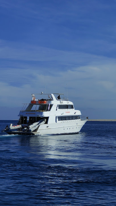 MV Sunshine