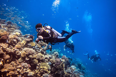 Octopus World Dahab Dive Center