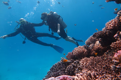 Chloe's Diving Center - Scuba Diving In Hurghada