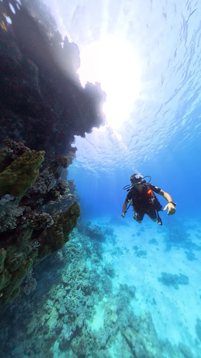 diving-marsaalam