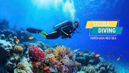 Aquarius Diving Club