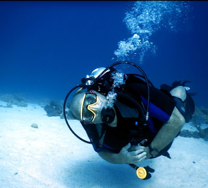 White Dolphin Diving Center - PADI Dive Resort / Tauchen in Hurghada