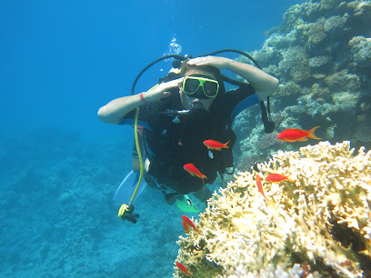 Sharm Divers Club