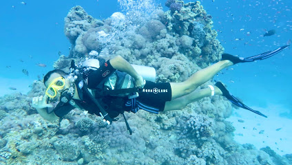 Pro Divers Corner Boat