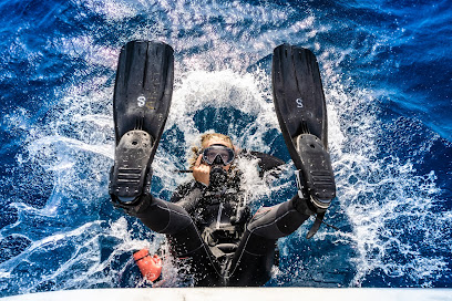 Blue Ocean Dive Centers & Resorts