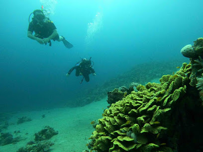 Fantasea Divers Dahab