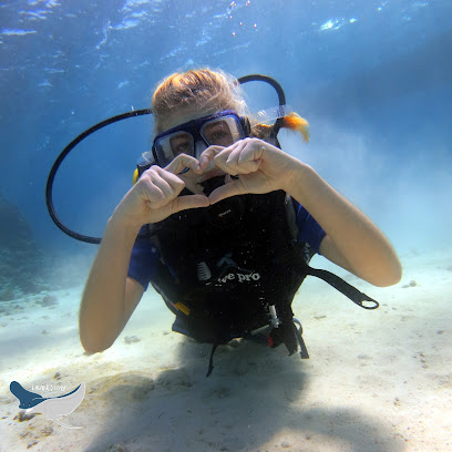 Diving Ray Hurghada