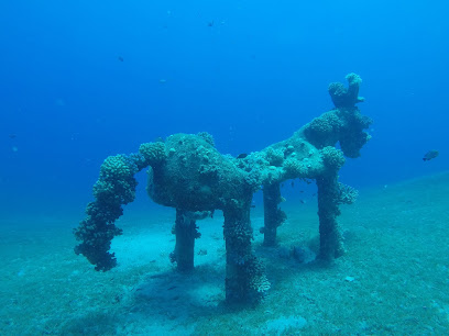 Sinai Divers Backpackers