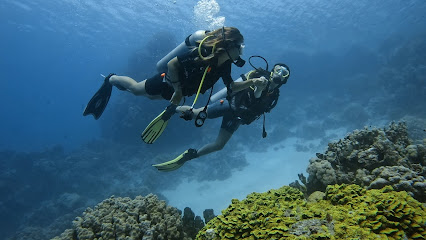 Deep Ashri Diving Center - Star House Hotel