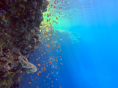 AQUA DIVERS