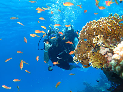 Gold Stars diving center