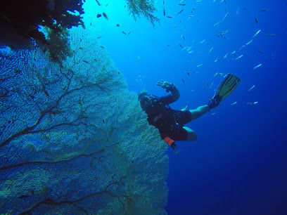 Scubadreamer Diving College