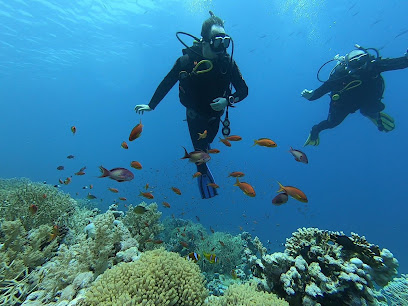 Story Divers - Diving Center Sharm el Sheikh