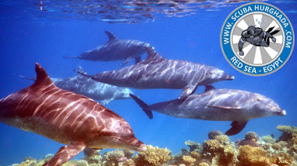 Scuba Hurghada