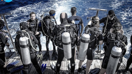 Diving Star | Scuba Diving Hurghada Egypt - PADI 5 Star Dive Resort