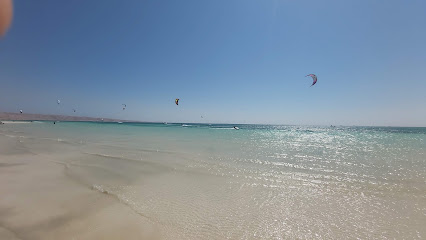 Expert diving club