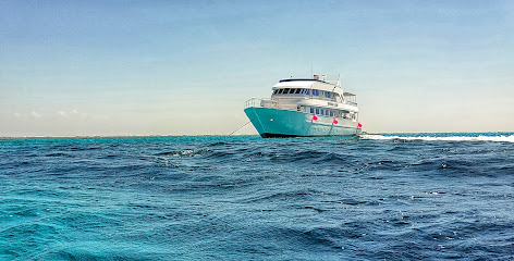 MV Springland