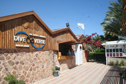 The Divers Universe (DiveVerse)