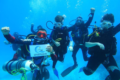 International Diving College