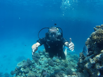 Crazy Dolphin Diving Center